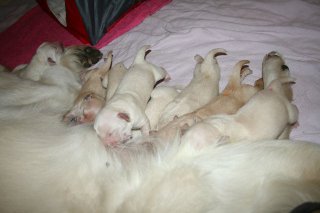 cc4days7-jpg