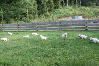 Morgens früh um 6:00 in Bad Wildbad