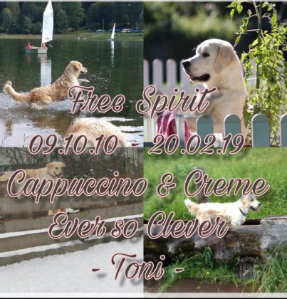 toni_20-02-19 toni_20-02-19
