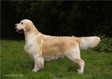 Taram_Apledoorn_2007.jpg