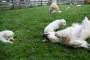 Spielen mit Mama