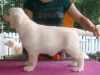 CC Daisy Applewhite 52 Tage