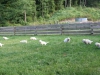 Morgens früh um 6:00 in Bad Wildbad