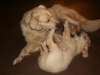 Letztes Kuscheln mit Mum