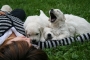 dees27tage2_800x533