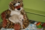 dees4-woche1_800x533