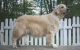kimberlyd-litter-tag48_800x533