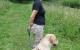 dummy10-6_398x600