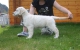 teajay10weeks_800x533.jpg