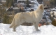 tj10mon_512x384.jpg