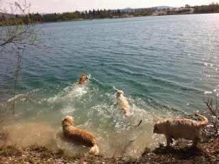 baggersee1_1024x764