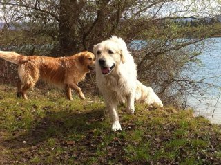 baggersee7_1024x764