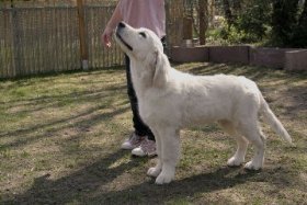 chruchillstanding2_359x240.jpg