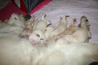 cc4days7-jpg