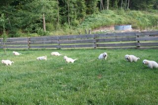 Morgens frÃ¼h um 6:00 in Bad Wildbad